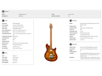 evh-evh-wolfgang-special-qm-tigereyeg_66e3f80c32217.jpg