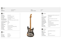 evh-limited-edition-frankenstein-relic-series-maple-fingerboard-silverburst_6697d213e8e07.jpg