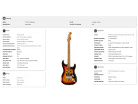 evh-limited-edition-frankenstein-relic-series-maple-fingerboard-vintage-sunburst_6697cf7eedf38.jpg