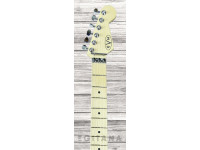 evh-stripe-white_6116958ecc422.jpg