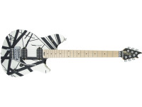 evh-wolfgang-special-b-w_65df22c84aa61.jpg