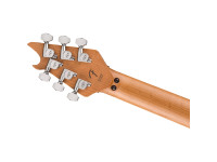 evh-wolfgang-special-qm-indigo-b_6638b68390140.jpg