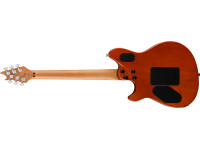evh-wolfgang-special-qm-indigo-b_6638b68b91822.jpg