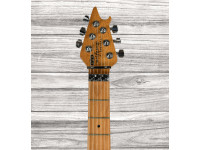 evh-wolfgang-special-qmt-solar_64b53d57699f9.jpg