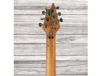 evh-wolfgang-special-qmt-solar_64b53d5806a10.jpg