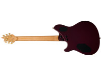 evh-wolfgang-special-tom-oxb_683715f921885.jpg