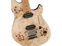evh-wolfgang-wg-standard-exotic-poplar-burl-baked-maple-fingerboard-natural_63cac3967d591.jpg