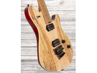 evh-wolfgang-wg-std-exotic-sm_60a7824526d3a.jpg