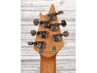 evh-wolfgang-wg-std-exotic-sm_60a782471931f.jpg
