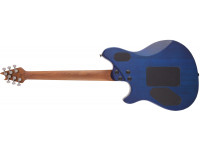 evh-wolfgang-wg-std-qm-cb_63cab0baa6e9a.jpg