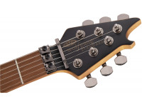 evh-wolfgang-wg-std-qm-ta_63caad7907e61.jpg