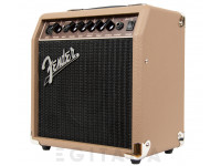 fender-acoustasonic-15_60894dc41ccdd.jpg