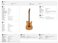 fender-acoustasonic-standard-tele-agn_67fe826ae5602.jpg