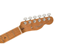 fender-am-pro-ii-tele-mn-btb_65c5070a1d3a3.jpg