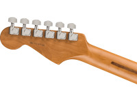 fender-american-professional-ii-roasted-maple-fingerboard-anniversary-2-color-sunburst_6595729f1fad7.jpg