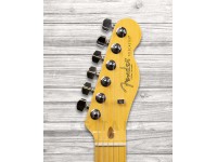 fender-american-professional-ii-telecaster-mn-roasted-pine_5fa02699d7fae.jpg