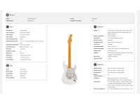 fender-american-ultra-ii-stratocaster-maple-fingerboard-avalanche_670d382165843.jpg
