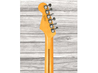 fender-american-ultra-ltd-strat-eby-tgr_65d764f2db3a9.jpg