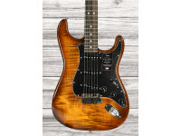 fender-american-ultra-ltd-strat-eby-tgr_65d76502e837e.jpg