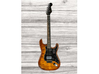 fender-american-ultra-ltd-strat-hss-eby-tgr_65d5e9f752c38.jpg