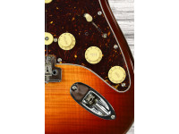 fender-anniv-am-pro-ii-strat-rw-cm_66754fa63df26.jpg