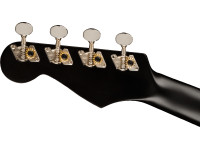 fender-avalon-tenor-ukulele-black_62b1ec500c54c.jpg