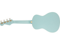 fender-avalon-tenor-ukulele-db_62b1ee2c32f9c.jpg
