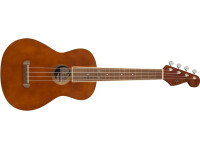 fender-avalon-tenor-ukulele-nat_62b1ecbe36bac.jpg