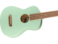 fender-avalon-tenor-ukulele-sg_62b1ed55e3c7c.jpg