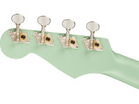 fender-avalon-tenor-ukulele-sg_62b1ed5d5dfe9.jpg