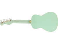 fender-avalon-tenor-ukulele-sg_62b1ed5f8e64a.jpg