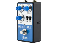 fender-bassman-delay_673f4e4e749d4.jpg