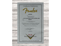 fender-custom-shop-ltd-dualmag-ii-60-strat-super-heavy-relic-aged-black_68dffee8caf08.jpg