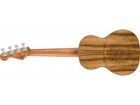 fender-dani-harrison-walnut-fingerboard-turquoise_6176769b84cc9.jpg