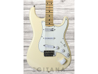 fender-eob-stratocaster-maple-fingerboard-olympic-white_632ddd03a221e.jpg