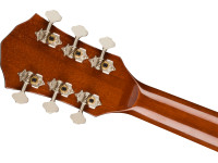 fender-fa-325ce-limited-edition-dreadnought-dao-exotic_62ebee358bf0e.jpg