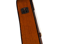 fender-fa-325ce-limited-edition-dreadnought-dao-exotic_62ebee3769d5c.jpg