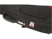 fender-fb620-bass-guitar-gig-bag_67ab265dbc0e9.jpg