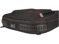 fender-fe1225-e-guitar-gig-bag_6017f52c1b837.jpg