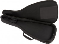 fender-fe620-e-guitar-gig-bag_60144429e3a28.jpg