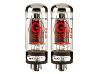 fender-gt-6l6-r-duets_61b73617cb07e.jpg