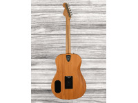 fender-highway-series-dreadnought-rosewood-fingerboard-all-mahogany_65c6484fd2555.jpg