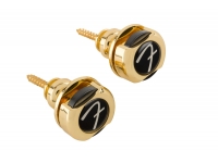 fender-infinity-strap-locks-gold_5e3d562489f55.jpg
