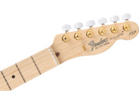 fender-james-burton-maple-fingerboard-red-paisley-flames_6821ff86d4cfd.jpg