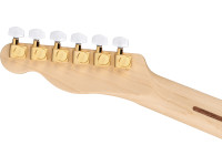 fender-james-burton-maple-fingerboard-red-paisley-flames_6821ff8a071fe.jpg