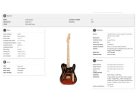 fender-james-burton-maple-fingerboard-red-paisley-flames_6821ff9018d16.jpg