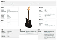 fender-jim-root-jazzmaster_680a0b0c92b25.jpg