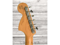 fender-kingfish-tele-deluxe_63298cc976569.jpg