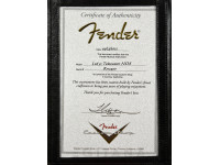 fender-limited-edition-51_60d063c19d1b4.jpg