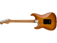 fender-limited-edition-american-ultra-roasted-maple-fingerboard-honey-burst_663397d24c335.jpg